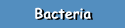 Bacteria